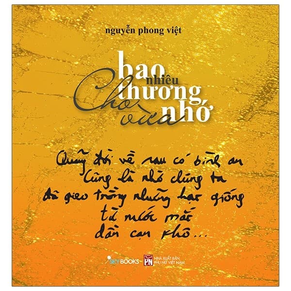 Bao Nhiêu Thương Nhớ Cho Vừa - Nguyễn Phong Việt