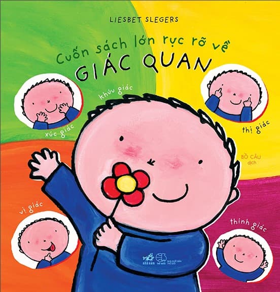 Cuốn Sách Lớn Rực Rỡ Về Giác Quan