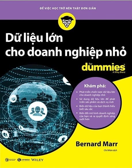 Dữ Liệu Lớn Cho Doanh Nghiệp Nhỏ For Dummies