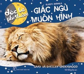 Độc Lạ, Phi Thường - Giấc Ngủ Muôn Hình