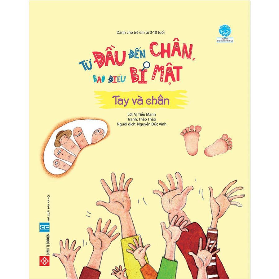 Từ đầu đến chân, bao điều bí mật - Tay và chân - Vị Tiểu Manh