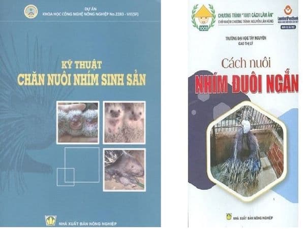 Combo Cách Nuôi Nhím Đuôi Ngắn - KT Chăn Nuôi Nhím Sinh Sản - Ume Chan