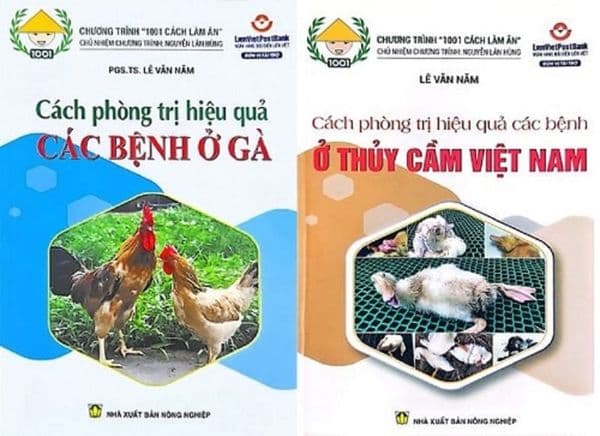 Combo Cách Phòng Trị Hiệu Quả Các Bệnh Ở Gà - Các Bệnh Ở Thủy Cầm Việt Nam