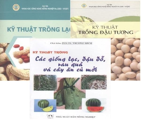 Comboo - Kỹ Thuật Trồng Đậu Tương - Kỹ Thuật Trồng Lạc - Kỹ Thuật Trồng Các Giống Lạc, Đậu Đổ, Rau Quả Cà Cây Ăn Củ Mới ( 3 Quyển ) - Đậu Đậu