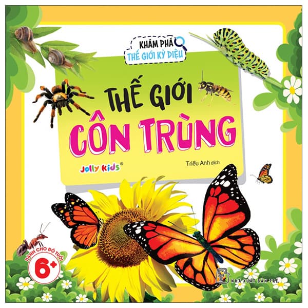 Sách Khám Phá Thế Giới Kỳ Diệu - Thế Giới Côn Trùng