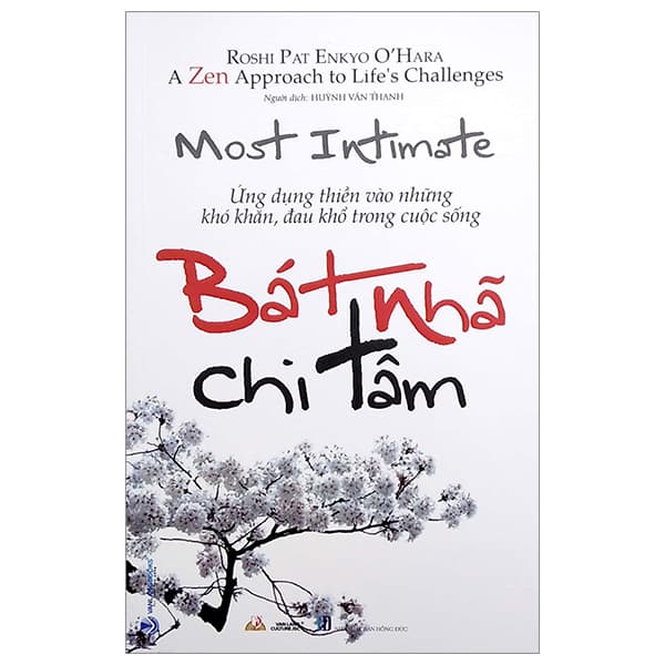 Sách Bát Nhã Chi Tâm - Ứng Dụng Thiền Vào Những Khó Khăn, Đau Khổ Tro - Roshi Pat Enkyo O'Hara