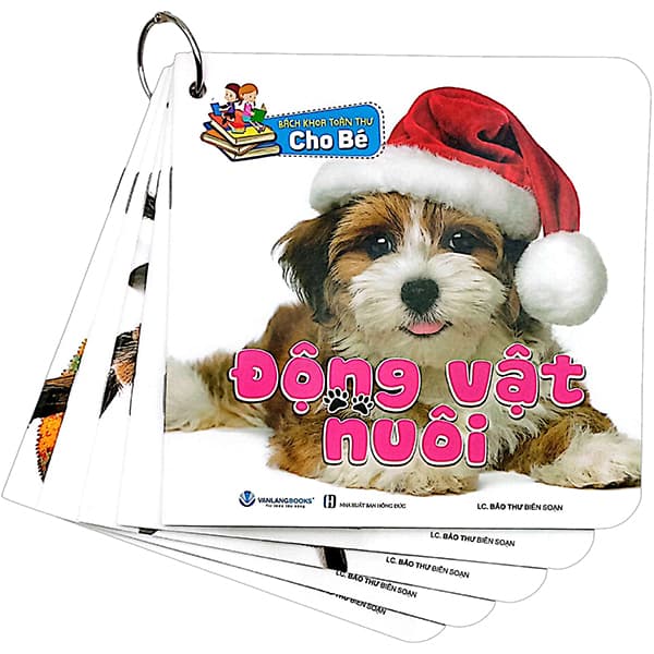 Bộ sách Bách Khoa Toàn Thư Cho Bé (Bộ 5 Cuốn) - Bảo Thư
