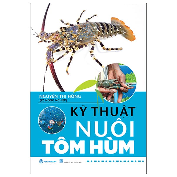 Sách KỸ Thuật Nuôi Tôm Hùm (Tái Bản 2025) - Nguyễn Thị Hồng
