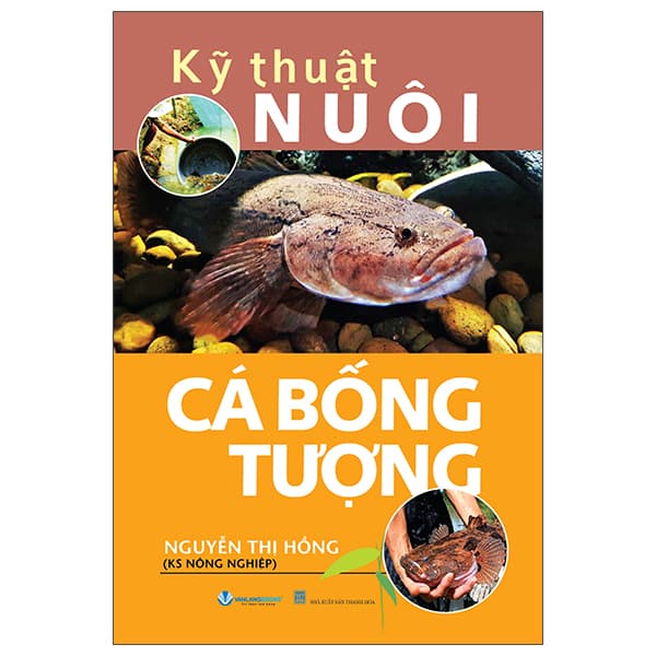 Sách Kỹ Thuật Nuôi Cá Bống Tượng (Tái Bản 2025) - Nguyễn Thị Hồng