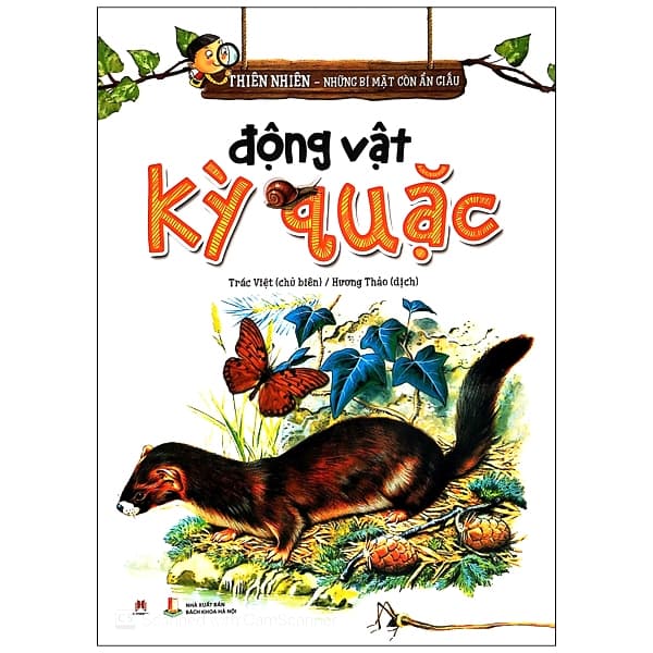 Sách Thiên Nhiên - Những Bí Mật Con Ân Giấu - Động Vật Kỳ Quặc - Trác Việt