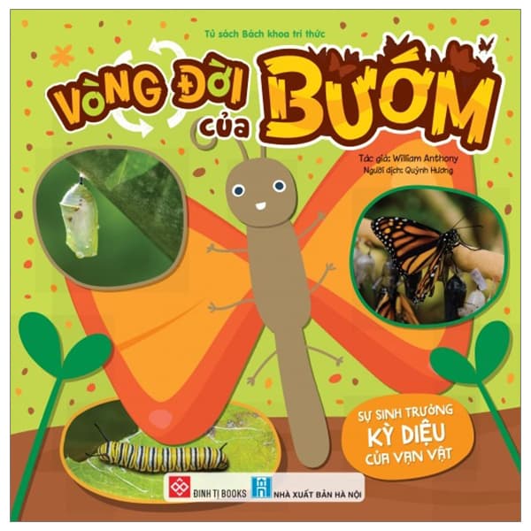 Sách Sự Sinh Trưởng Kỳ Diệu Của Vạn Vật - Vòng Đời Của Bướm - William Anthony
