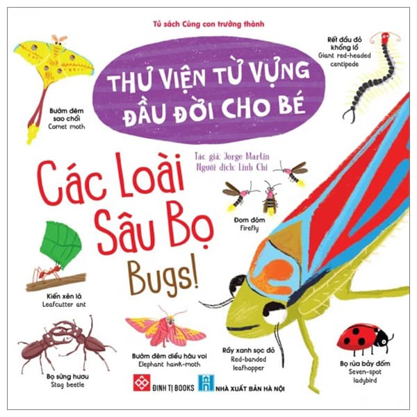 Sách Thư Viện Từ Vựng Đầu Đời Cho Bé - Các Loài Sâu Bọ - Bugs! - Jorge Martin