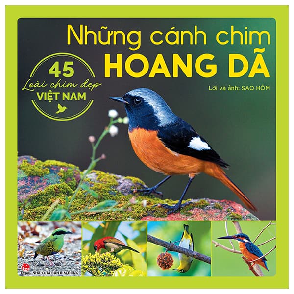Sách Những Cánh Chim Hoang Dã - 45 Loài Chim Đẹp Việt Nam - Sao Hôm