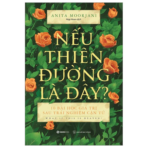 Sách Nếu Thiên Đường Là Đây - Anita Moorjani
