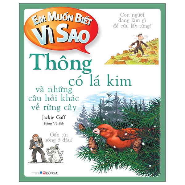 Sách Em Muốn Biết Vì Sao - Thông Có Lá Kim Và Những Câu Hỏi Khác Về R - Jackie Gaff