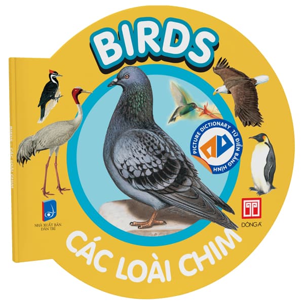 Sách Picture Dictionary - Từ Điển Bằng Hình - Birds - Các Loài Chim - Bìa C - Á Đông