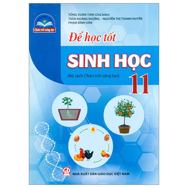 Sách Để Học Tốt Sinh Học 11 (Chân Trời Sáng Tạo) (2023) - Tống Xuân Tám