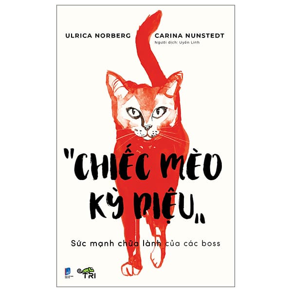 Sách Chiếc Mèo Kỳ Diệu - Chì