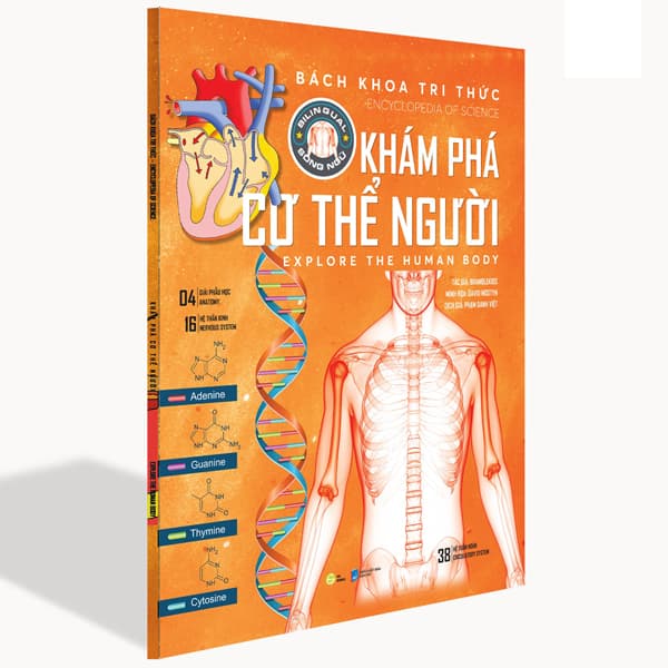 Sách Bách Khoa Tri Thức - Khám Phá Cơ Thể Người - Explore The Human Body (S - Bramblekids