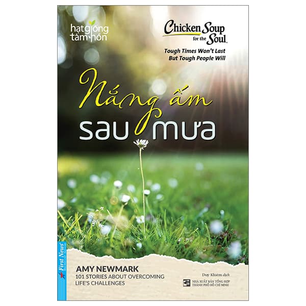 Sách Chicken Soup For The Soul - Nắng Ấm Sau Mưa - Amy Newmark