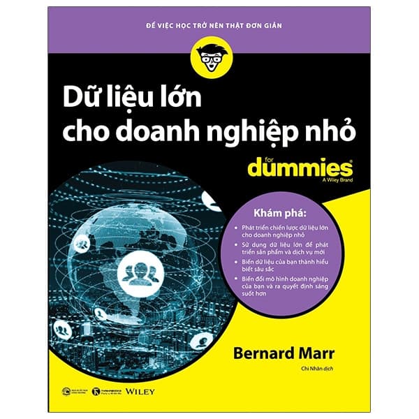 Sách Dữ Liệu Lớn Cho Doanh Nghiệp Nhỏ For Dummies - Bernard Marr
