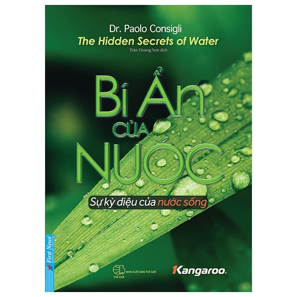 Sách Bí Ẩn Của Nước - Giải Mã Sự Kỳ Diệu Của Nước Sống - The H - Dr Paolo Consigli