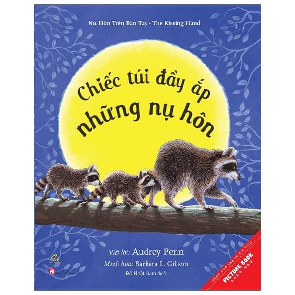 Sách Chiếc Túi Đầy Ắp Những Nụ Hôn - A Pocket Full Of Kisses (Tái Bản - Việt Chi