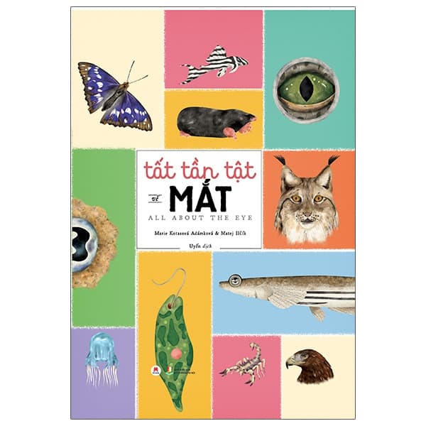 Tất Tần Tật Về Mắt - All About The Eye - Marie Kotasová Adámková & Matej Ilčík