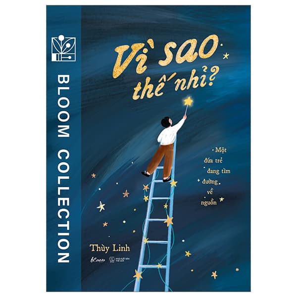 Sách Vì Sao Thế Nhỉ? - Một Đứa Trẻ Đang Tìm Đường Về Nguồn - Thùy Linh