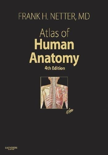 Atlas of Human Anatomy, 4th Edition - Frank H. Netter MD