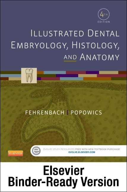Illustrated Dental Embryology, Histology, and Anatomy - Binder Ready: Illustrated Dental Embryology, Histology, and Anatomy - Binder Ready