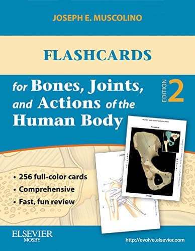 Flashcards for Bones, Joints, and Actions of the Human Body-1st edition - Joseph E. Muscolino DC