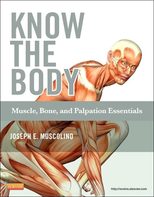 Know the Body: Muscle, Bone, and Palpation Essentials - Joseph E. Muscolino DC