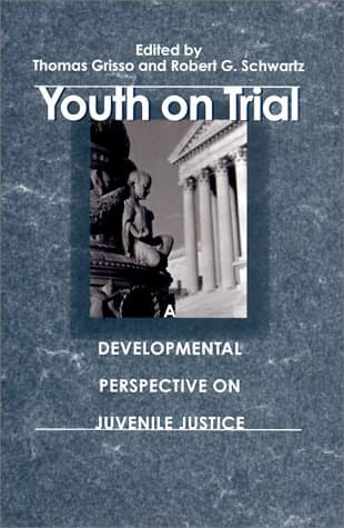 Youth on Trial: A Developmental Perspective on Juvenile Justice (The John D. and Catherine T. MacArthur Foundation Series on Mental Health and ... Adolescent Development and Juvenile Justice) - Thomas Grisso