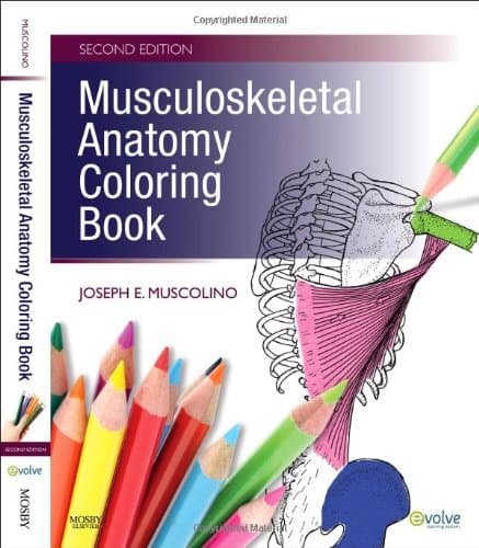 Musculoskeletal Anatomy Coloring Book - Joseph E. Muscolino DC