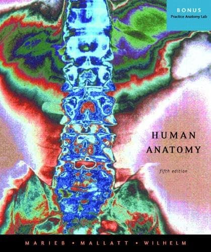 Human Anatomy (MyA&P Series) - Elaine N. Marieb