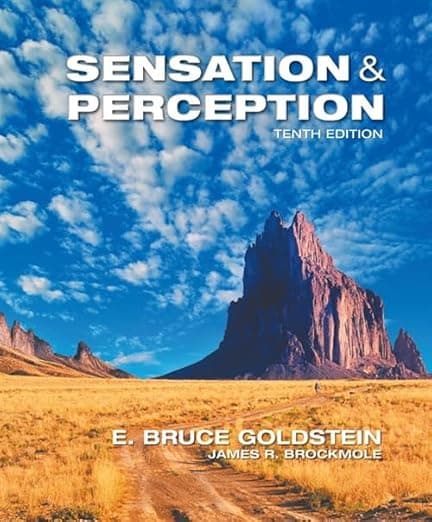 Sensation and Perception - E. Goldstein