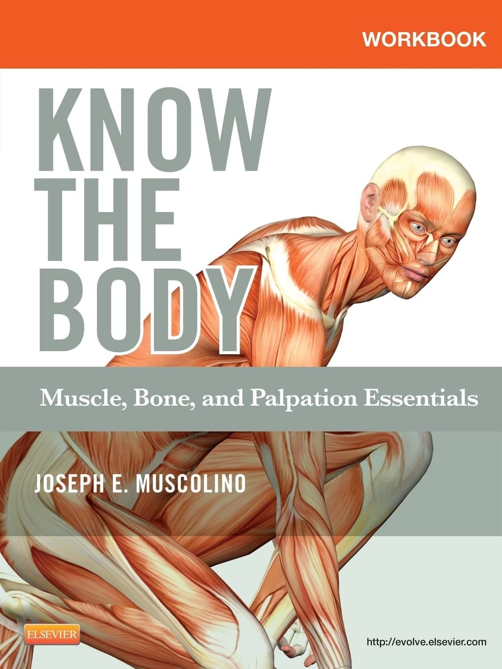 Workbook for Know the Body: Muscle, Bone, and Palpation Essentials - Joseph E. Muscolino DC