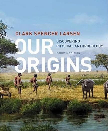 Our Origins: Discovering Physical Anthropology - Clark Spencer Larsen
