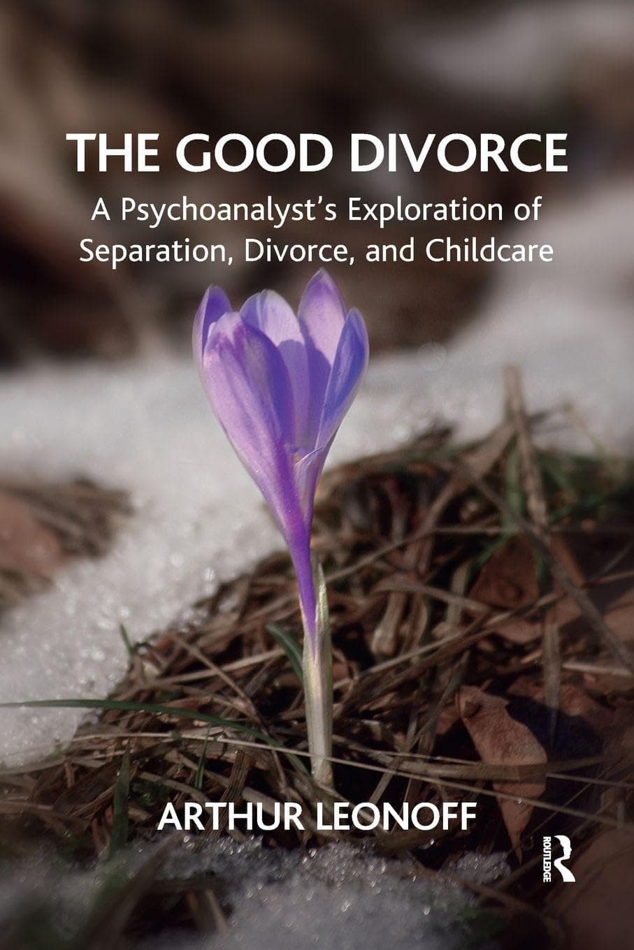 The Good Divorce: A Psychoanalyst's Exploration of Separation, Divorce, and Childcare - Arthur Leonoff