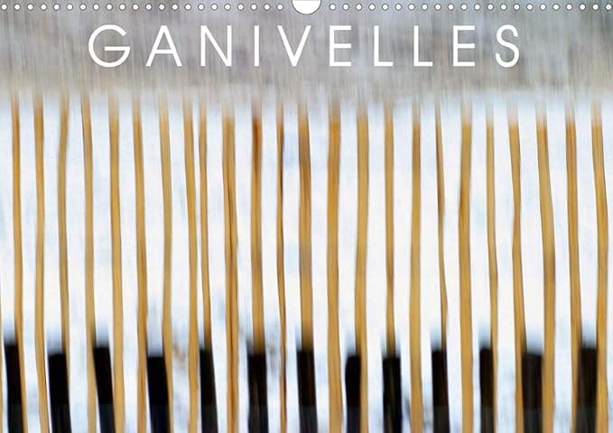 GANIVELLES 2020: Barrieres en lattes de chataignier, les ganivelles servent a fixer sur les dunes le sable apporte par le vent. (Calvendo Nature) (French Edition) - Calvendo Verlag GmbH