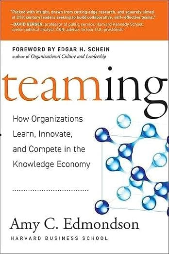 Teaming: How Organizations Learn, Innovate, and Compete in the Knowledge Economy - Amy C. Edmondson