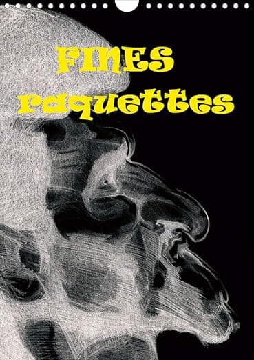 Fines raquettes 2020: Douze portraits forces de championnes et champions internationnaux de tennis. (Calvendo Sportif) (French Edition) - Calvendo Verlag GmbH