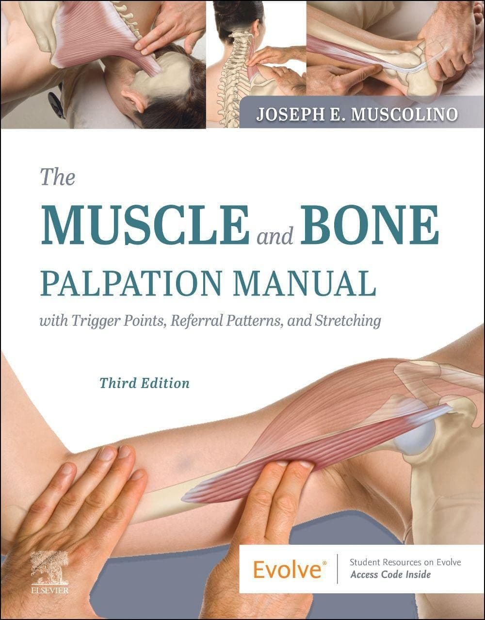 The Muscle and Bone Palpation Manual with Trigger Points, Referral Patterns and Stretching - Joseph E. Muscolino DC