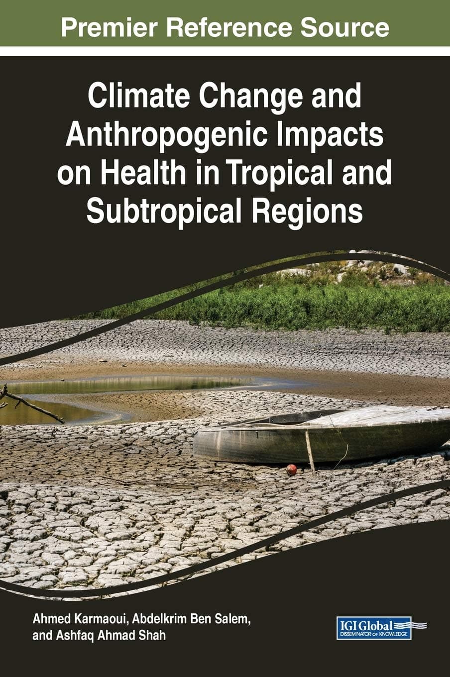 Climate Change and Anthropogenic Impacts on Health in Tropical and Subtropical Regions (Advances in Environmental Engineering and Green Technologies) - Ahmed Karmaoui