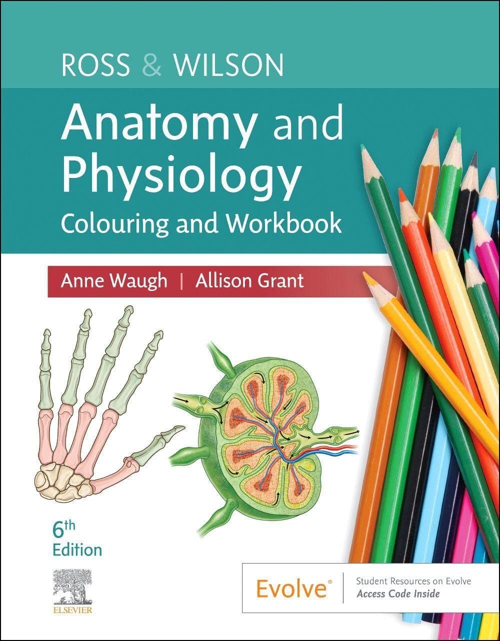 Ross & Wilson Anatomy and Physiology Colouring and Workbook - Ph.D. Ross