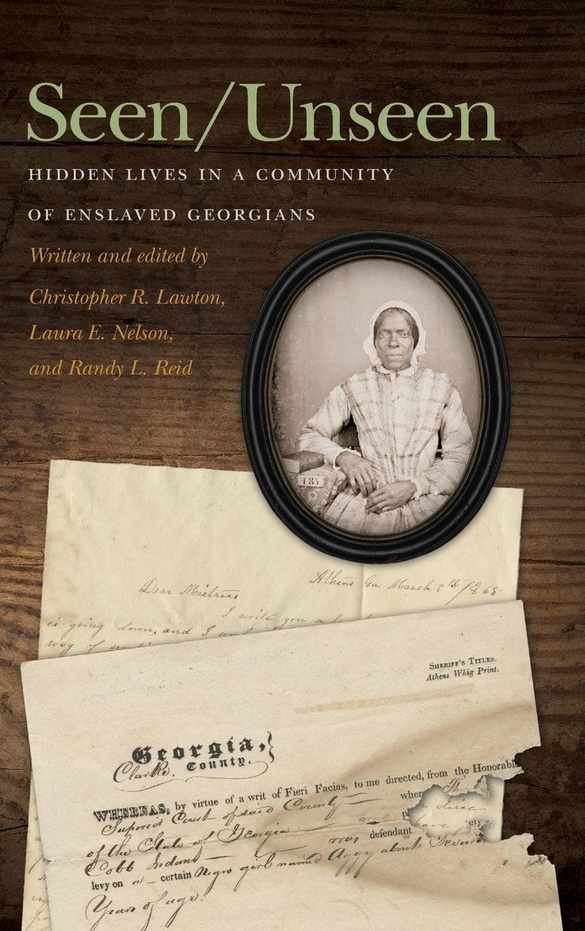 Seen/Unseen: Hidden Lives in a Community of Enslaved Georgians (New Perspectives on the Civil War Era)