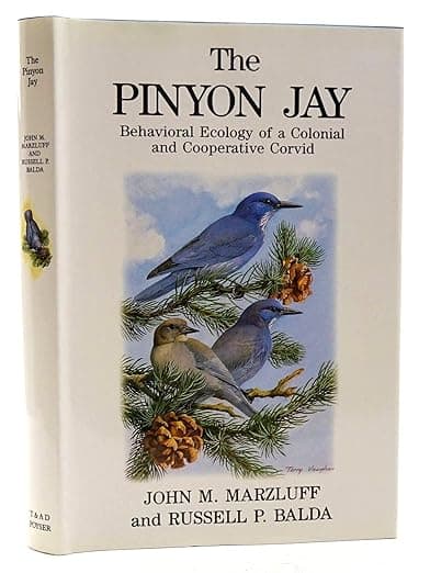 The Pinyon Jay: Behavioral Ecology of a Colonial and Cooperative Corvid (T & AD Poyser) - John M. Marzluff