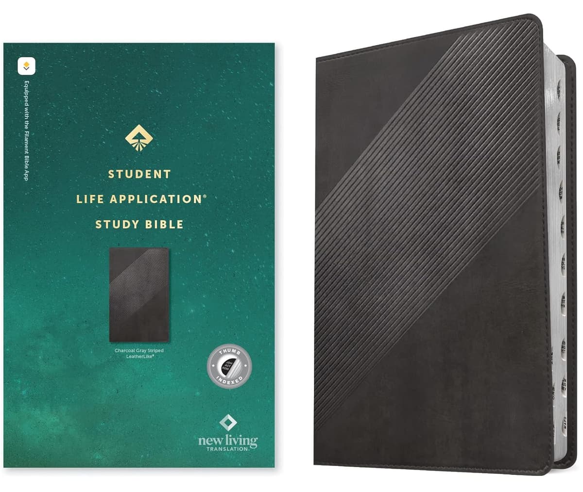 NLT Student Life Application Study Bible, Filament Enabled (LeatherLike, Charcoal Gray Striped, Indexed, Red Letter) - Tyndale House Publishers