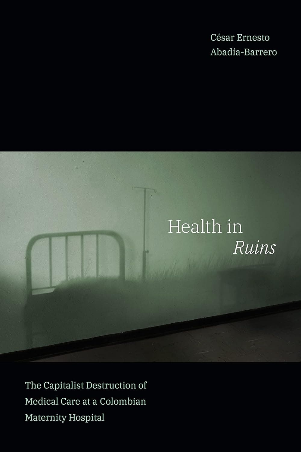 Health in Ruins: The Capitalist Destruction of Medical Care at a Colombian Maternity Hospital (Experimental Futures)